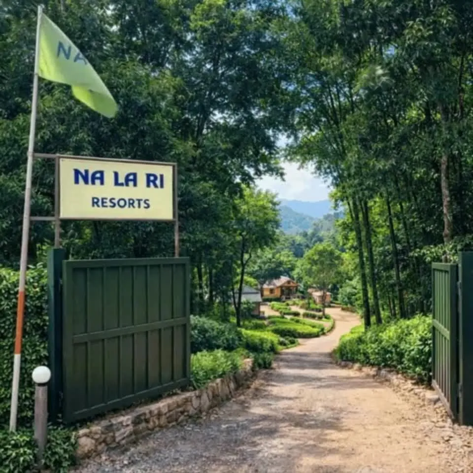 Nalari Resort Sumer in Sumer, Ri-Bhoi